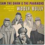 sam the sham
